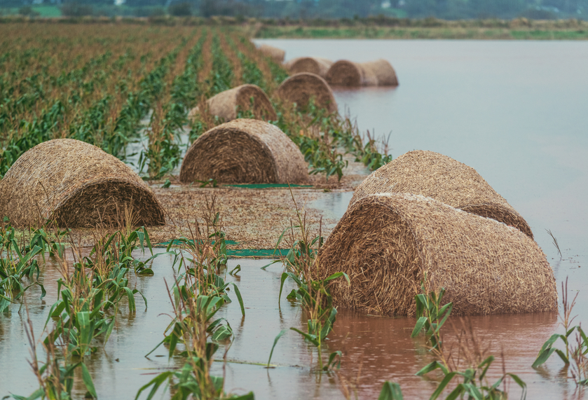 Federal investment will help Manitoba farmers predict the effects of flood and drought on farmland Federal investment will help Manitoba farmers predict the effects of flood and drought on farmland