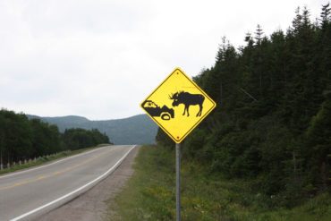 Road Sign, Newfoundland, Canada