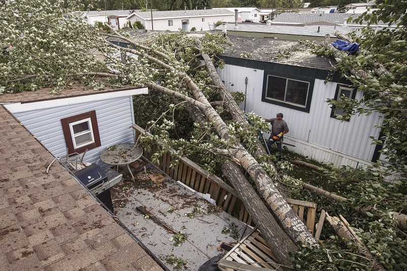 Red Deer cleaning up from windstorm after declaring state of emergency