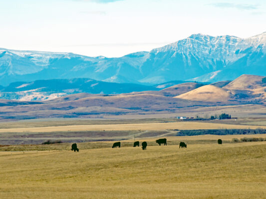 Brokerage M&amp;A roundup Westland and BrokerTeam announce deals