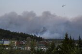Should the industry incentivize wildfire mitigation?