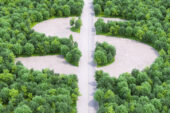 How insurers would benefit from nature-based financial reporting