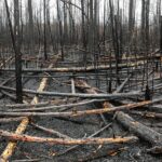 B.C. community releases wildfire dashboard