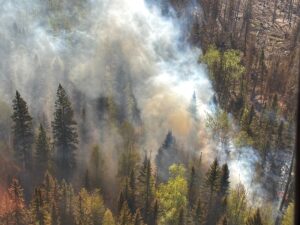 What research tells us about ‘zombie’ forest fires Image