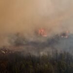 Will insurers in Canada be able to withstand another destructive wildfire season?  