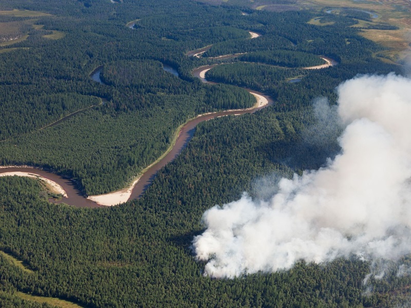 Aerial view of a wildfire in the forest