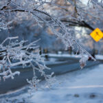 Kawartha Lakes seeks provincial aid for ice storm cleanup costs