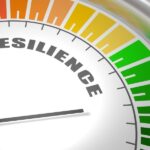 How Canada’s P&C insurers showed their resilience in 2024