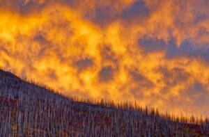 Aviva Canada reports escalating NatCats during first half of 2025 Image