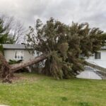 How Cats affected Desjardins’ second quarter results