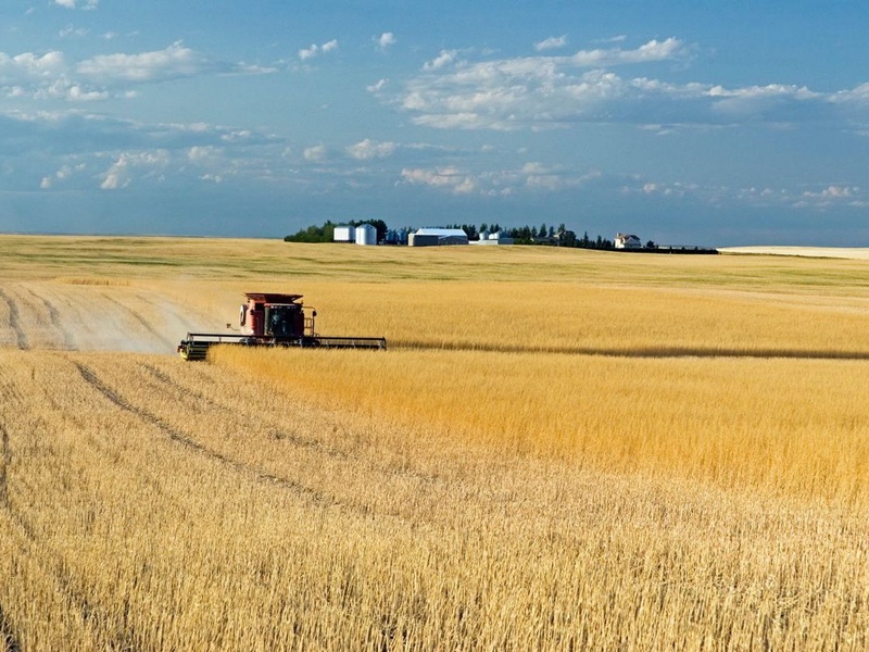How expanded steel tariffs are affecting farm insurers