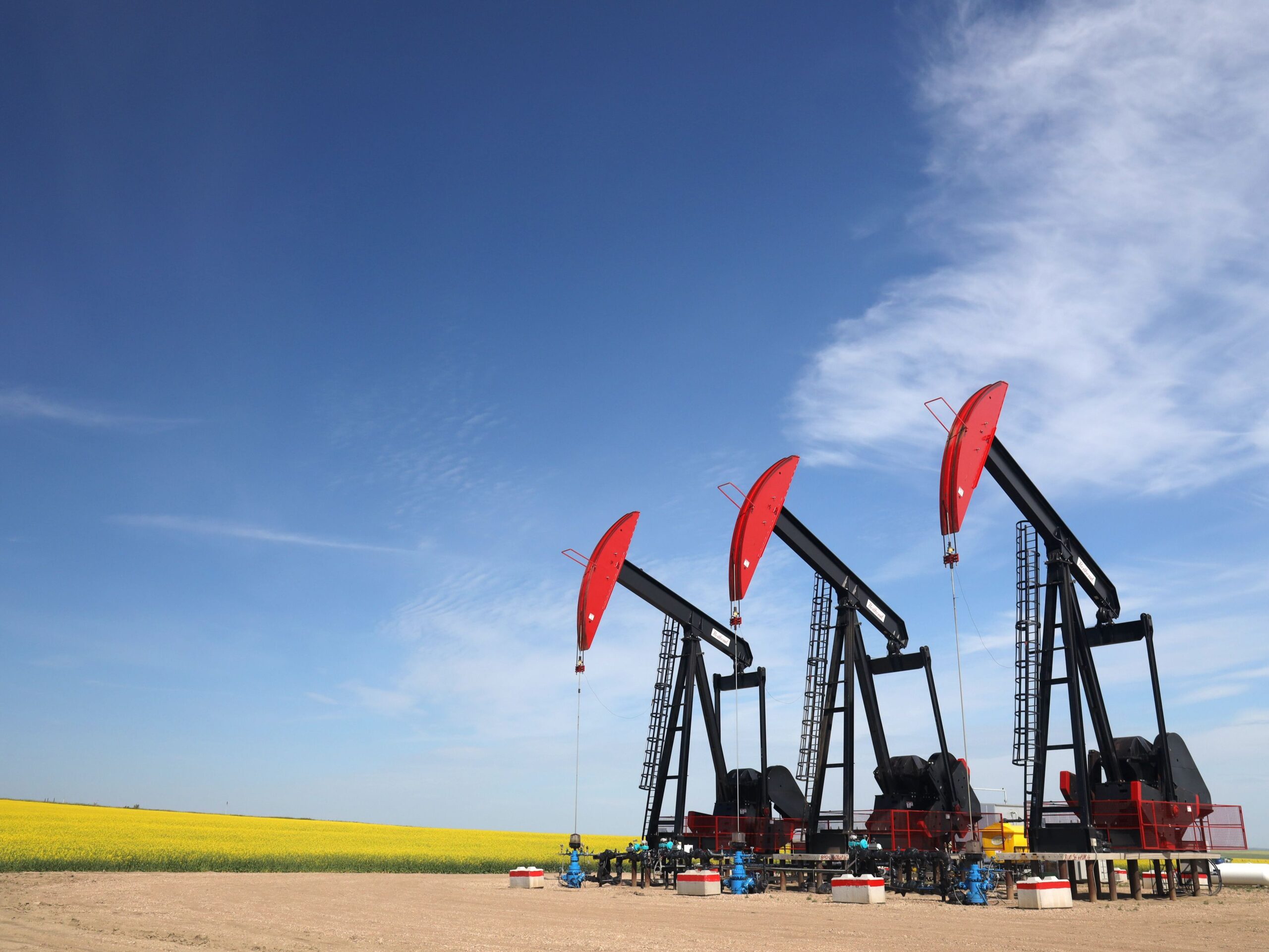 Environment groups call for swift climate policies ahead of fall Parliament session