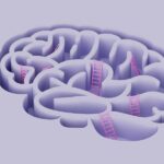 Should Canada’s P&C firms bolster mental health supports?