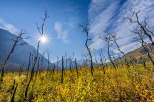 How to talk to your clients about climate resilience Image