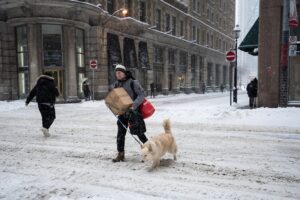 Schools closed, commuters delayed as snow blankets Ontario and Quebec Image