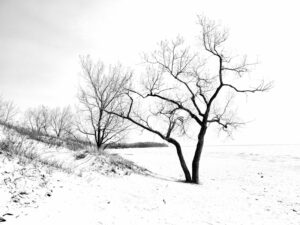 Will feds’ science cuts threaten Canada’s ability to confront climate crises? Image