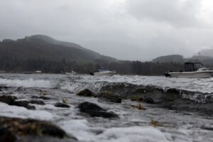 Atmospheric river persists, after 200 mm of rain falls on parts of B.C. Image