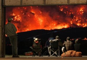 Invasive grasses may pose deadly risk post-wildfire, UBC researcher says Image