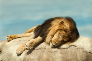 As NatCats slow to a dull roar, brokers turn their attention to other concerns Image
