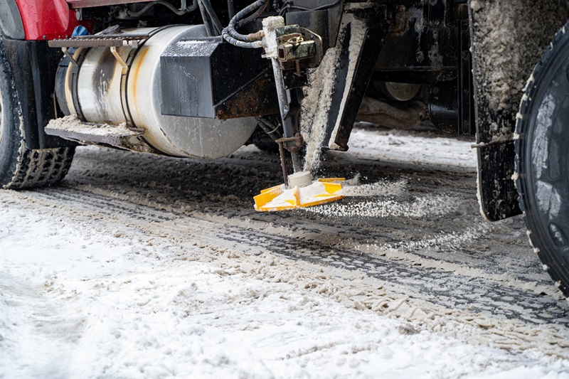 Road salt overuse is choking Peel’s water — a salt-loving plant could be the solution
