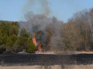 Ontario town boosts wildfire readiness Image