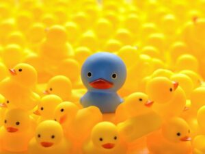 Newer brokers climb onto the specialization bandwagon Image