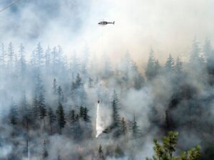 Fires, drought and water woes to begin B.C.’s wildfire season Image