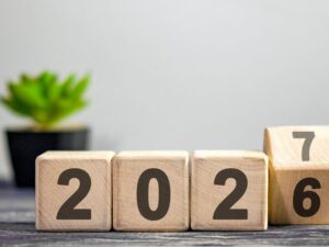 What P&C insurers can expect from OSFI next year Image