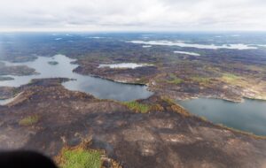Wildfire forecast anticipates high risk for new wildfires in B.C., Prairies, N.W.T. Image