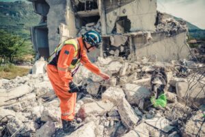 Insurers reveal more detail about their proposed quake backstop Image
