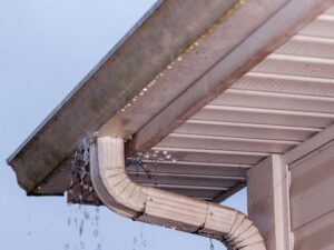 Will your clients bother to prevent NatCat damage? Image