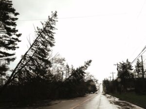 Atlantic hurricane season forecast to be milder than normal thanks to El Nino Image