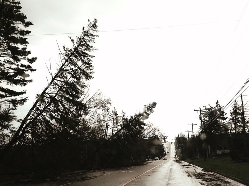 Aftermath of Hurricane Fiona on Prince Edward Island