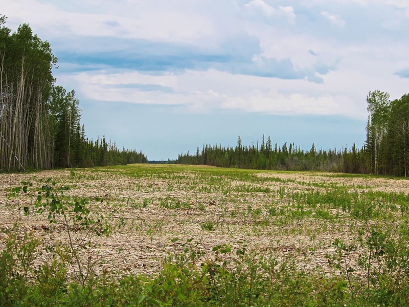 No survivors after firefighting plane crashes in N.W.T.