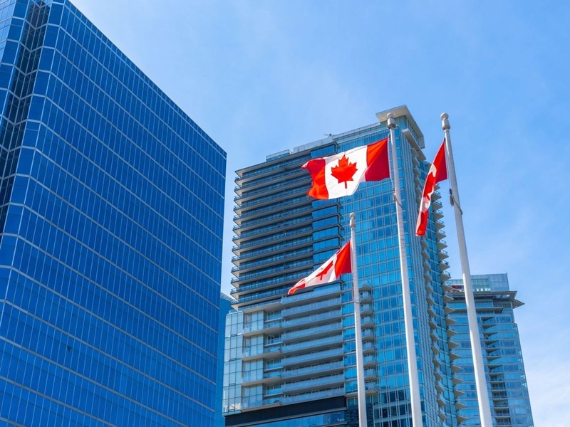 Foreign insurer exits make room for domestic scale
