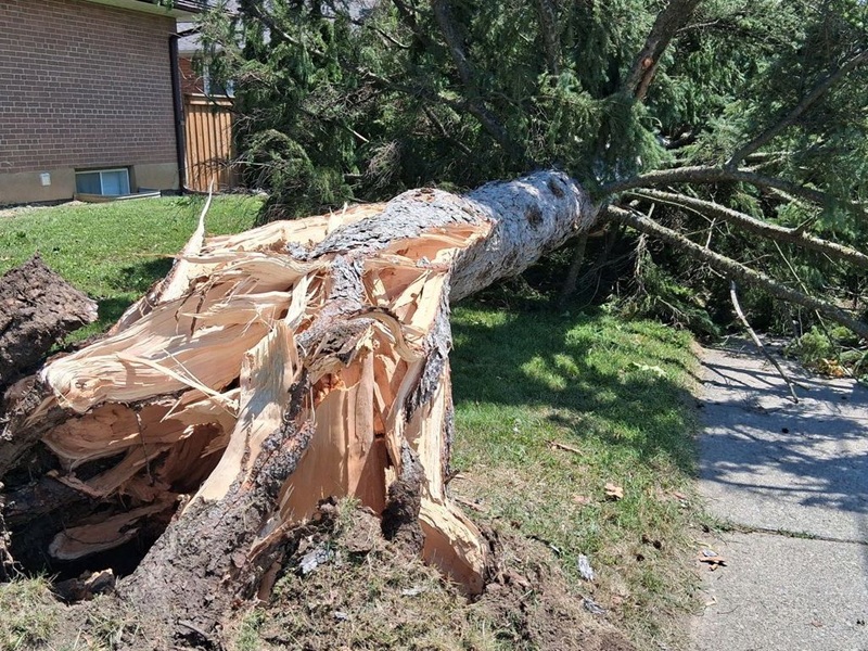Storm cleanup continues as power returns across northeast Saskatchewan
