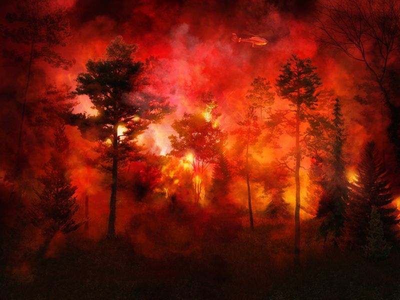 Industry prepares to assess B.C. Sutherland wildfire damage
